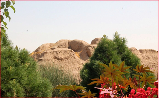 سفر به پایتخت خوشنویسی ایران + تصاویر