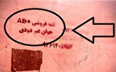 حقایقی تکاندهنده از بازار کلیه/ از مبالغی که کلیه سالم هم ناکار میکند تا دلالی که خود را فرشته نجات مینامد فروش کلیه این بار به فرنگی ها/ بازار سیاه کلیه تعطیل شد؟