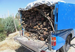 کشف ۸۰۰ کیلوگرم هیزم غیرمجاز در ممسنی