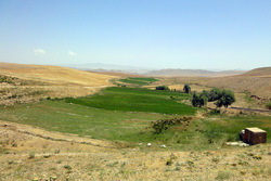 ۲۱۸ هزار هکتار از اراضی کردستان رفع تداخل شد