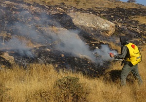 آتش سوزی اراضی روستای کرین خلخال مهار شد