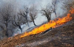 کاهش آتش‌سوزی در عرصه‌های طبیعی خراسان شمالی
