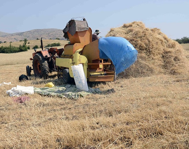 افزون&zwnj;بر ۲۹۰ میلیارد ریال طلب گندم&zwnj;کاران سیستان و بلوچستان پرداخت شد