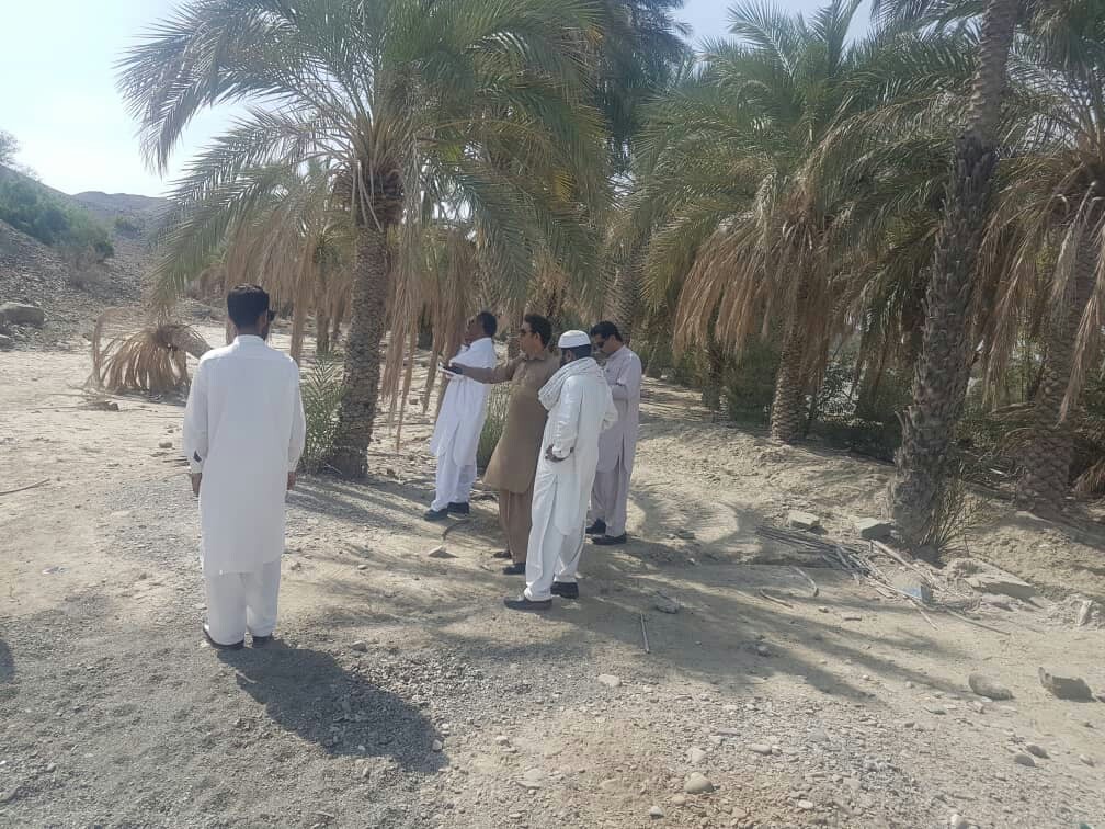 مجتمع بوم گردی روستای بلپیر بخش مرکزی نیک شهر جانمایی  شد
