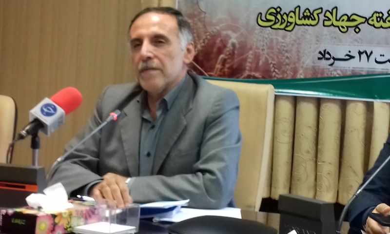 هر چه تشکل&zwnj;ها قویتر باشند نتایج خوب و بهتری حاصل خواهد شد