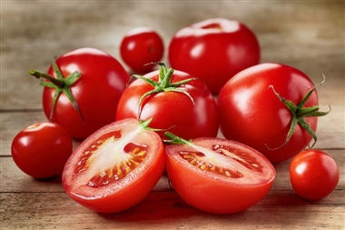 گوجه قوچان روی دست کشاورزان ماند