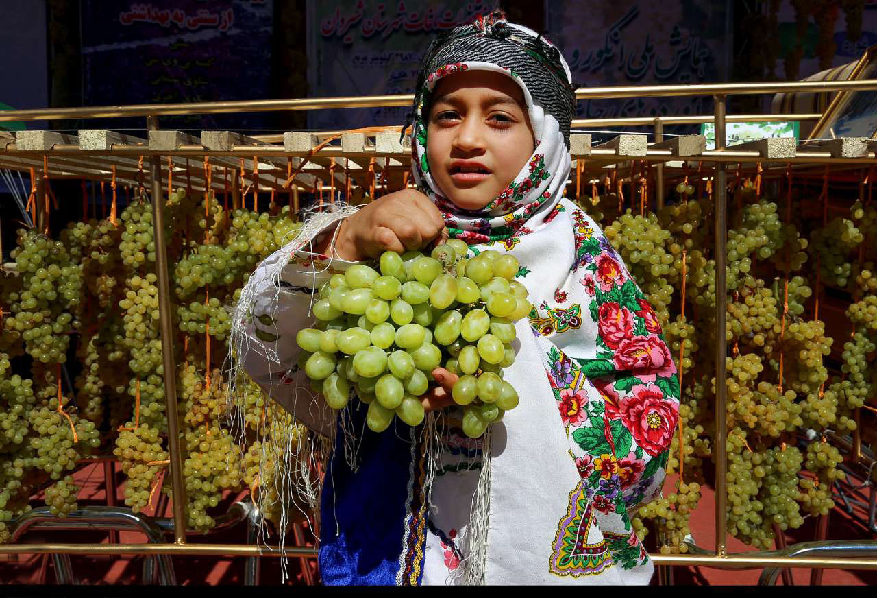 انگور سوغات پرطرفدار خراسان شمالی به روایت تصویر
