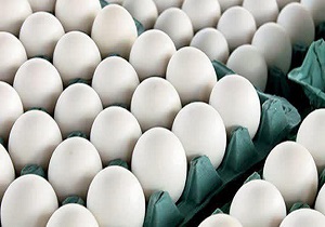 فعالیت شش واحد مرغداری با ۲۱۳ هزار قطعه مرغ تخم‎گذار