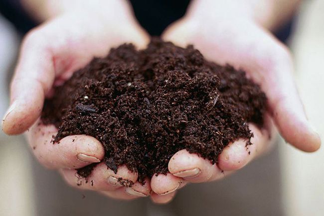 خواب خاک چه تعبیری دارد؟