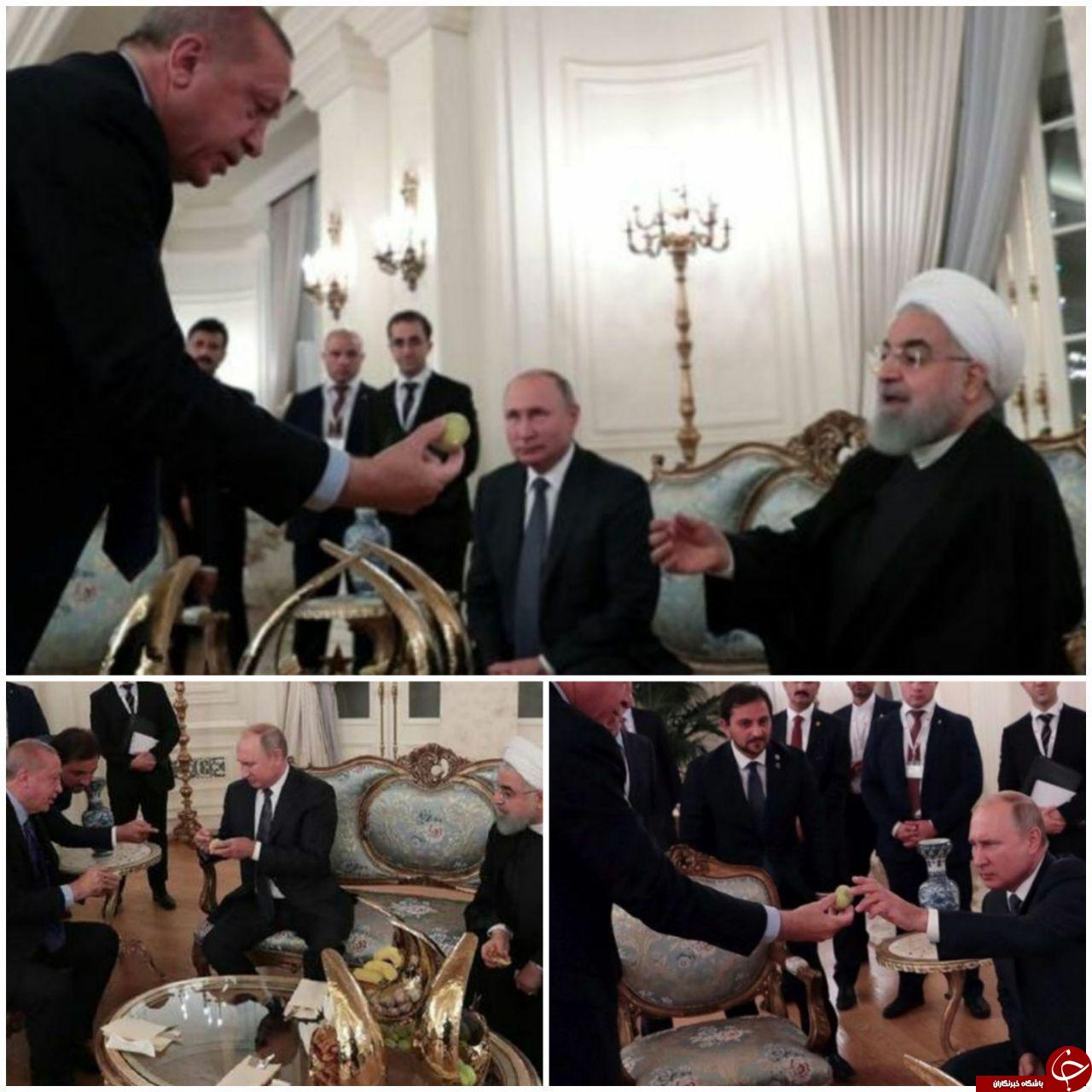 انجیر تعارف کردن اردوغان به روحانی و پوتین +عکس