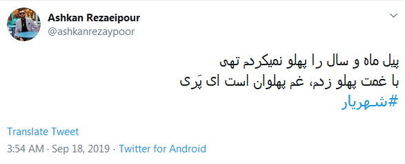 #شهریار/ گر نماند ز من این نام، چه خواهد بودن