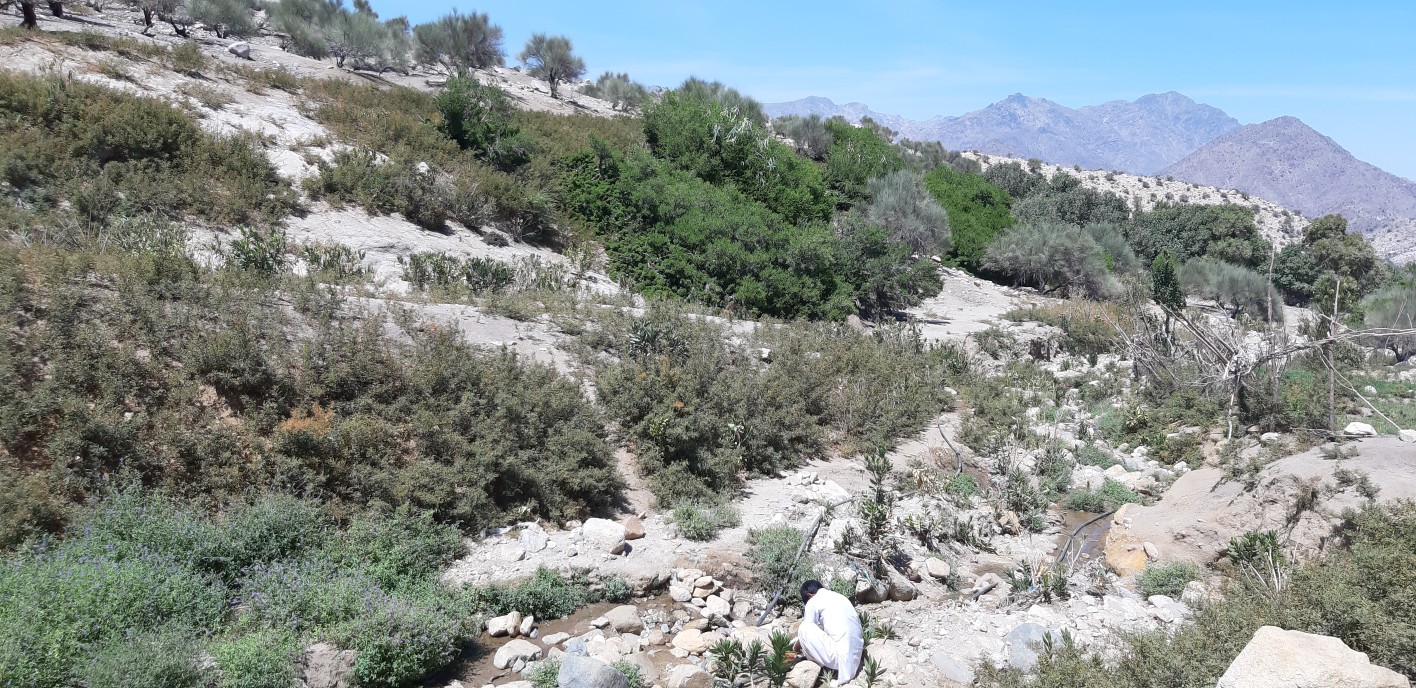 روستای زیارت شاه با گورستانی ۴۰۰ ساله و طبیعت بکر پذیرای گردشگران در دل کویر
