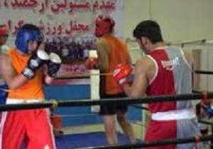 دعوت بوکسور اردبیلی به اردوی تیم ملی