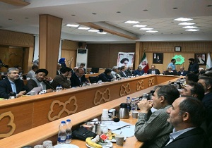 برای اربعین بودجه دولتی نداریم