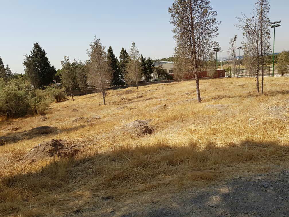 بوستان چیتگر////