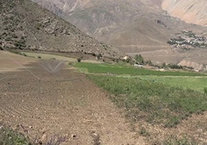 درآمدزایی با کاشت سبزی در کوه + فیلم