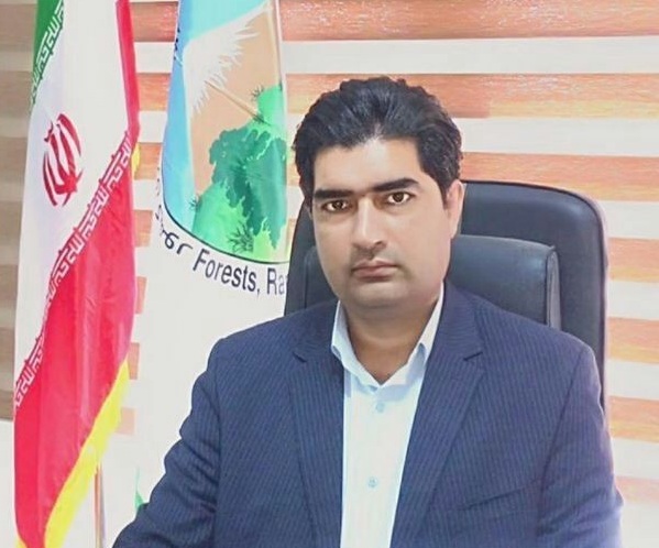مقابله با ریزگرد&zwnj;ها در اولویت اقدامات منابع طبیعی جنوب کرمان