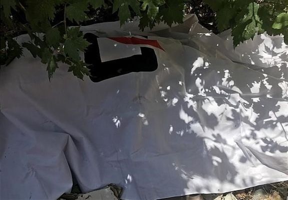 ماجرای جسد ریش&zwnj;پروفسوری!