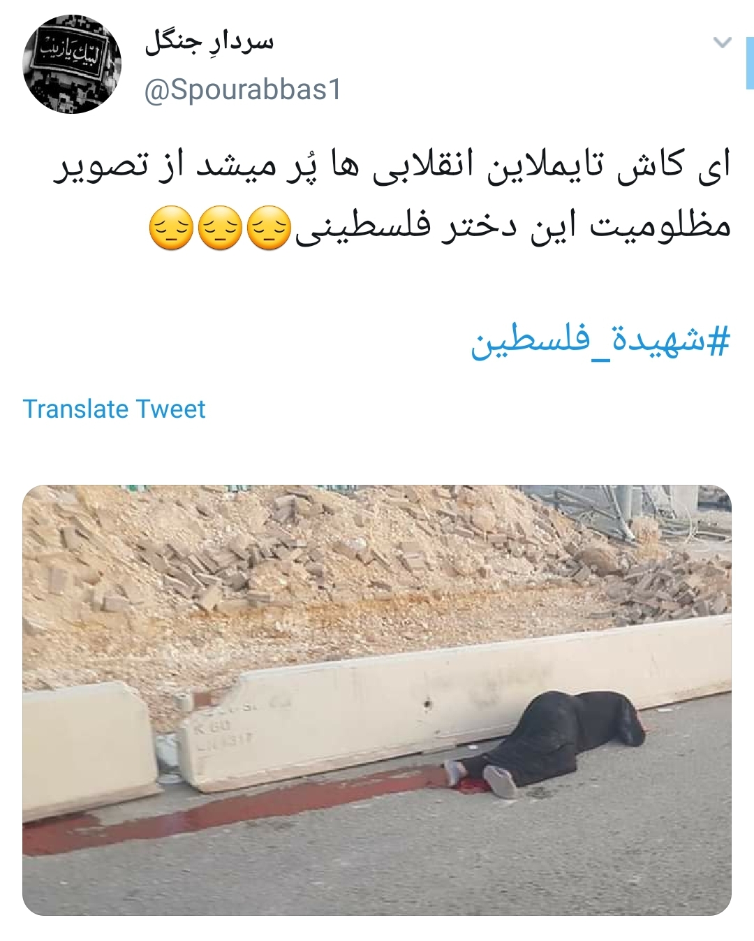 #شهیده_فلسطین /