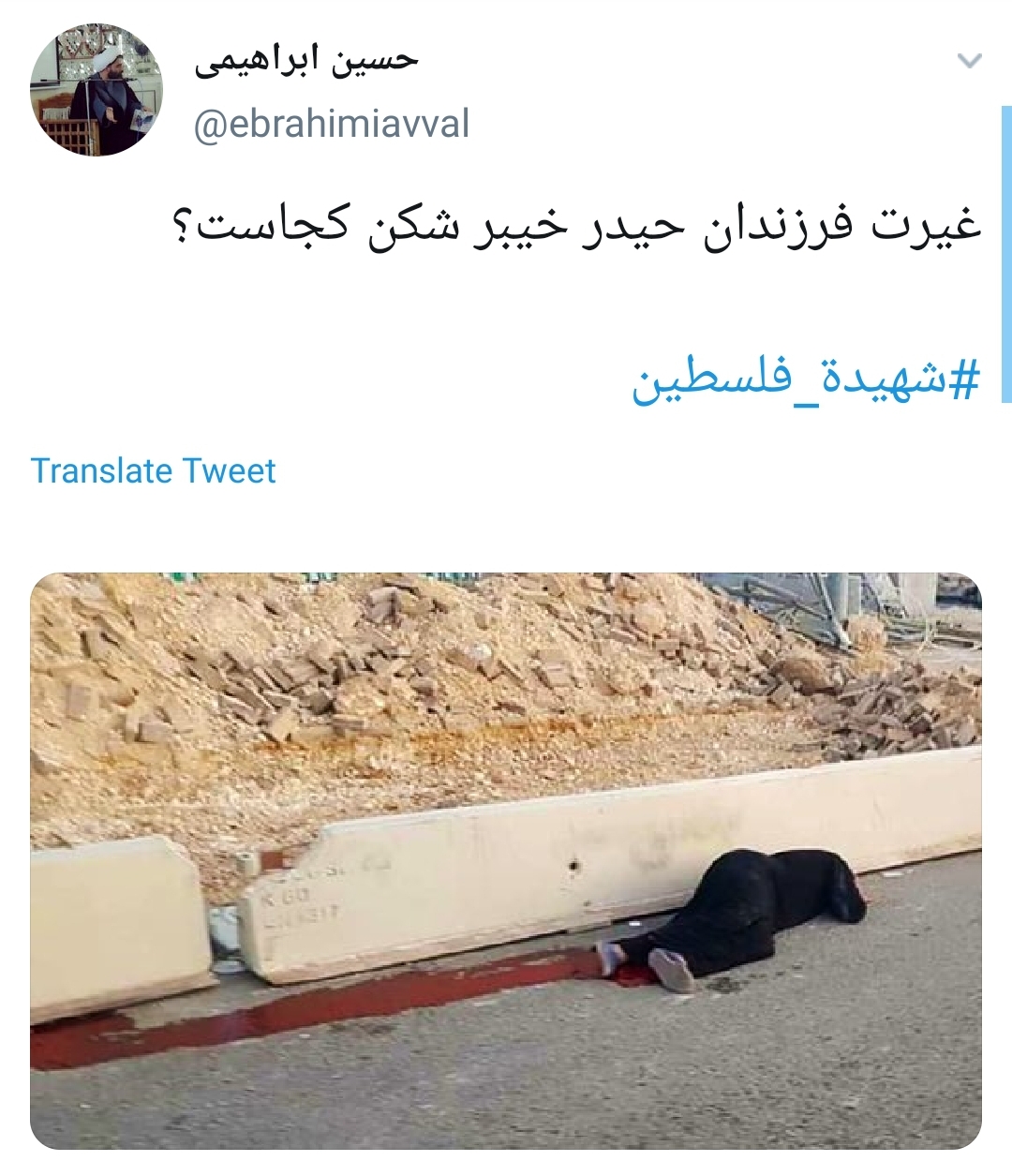 #شهیده_فلسطین /