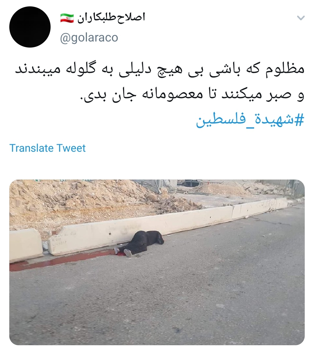 #شهیده_فلسطین /