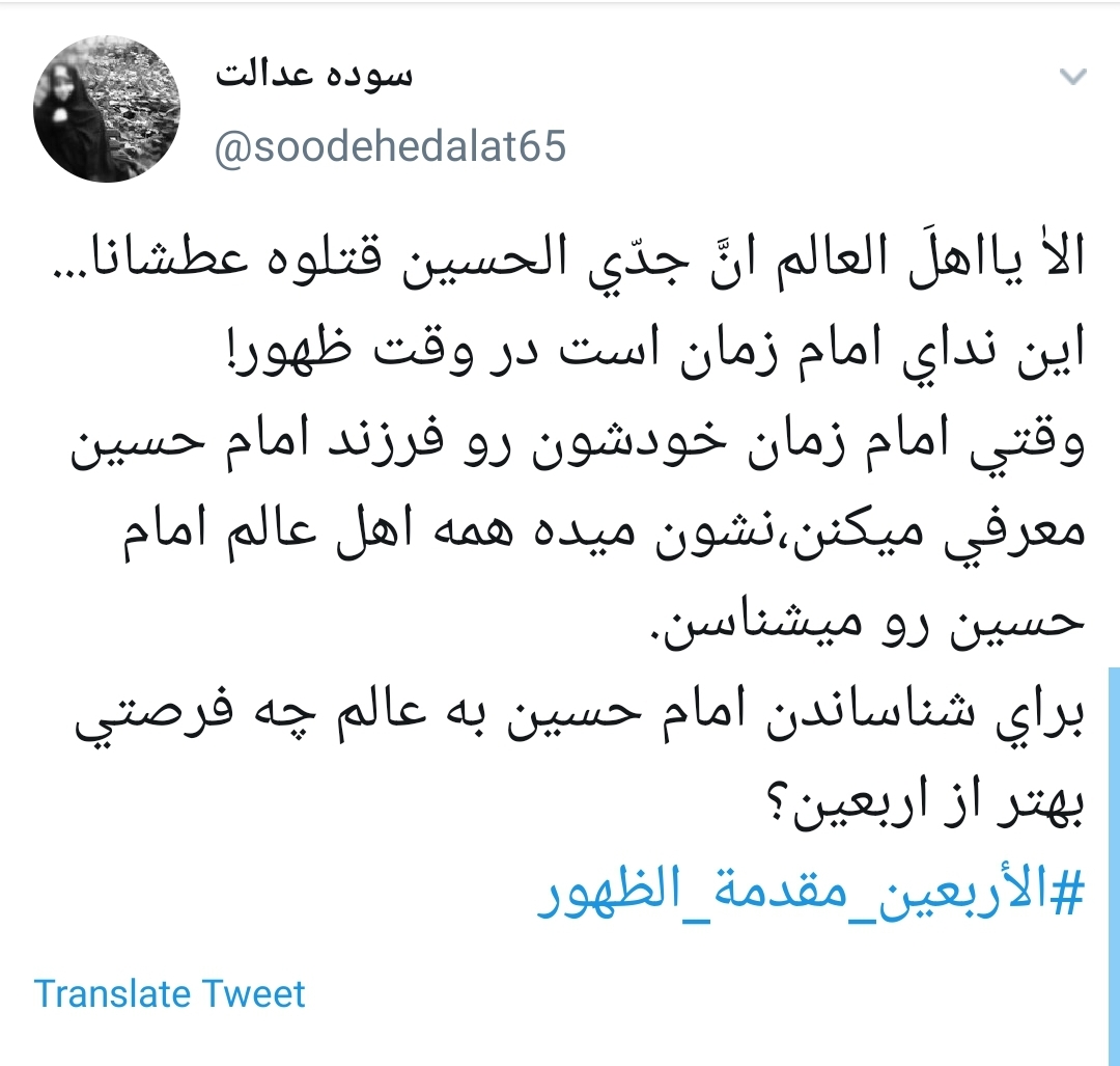 #الأربعين_مقدمة_الظهور/