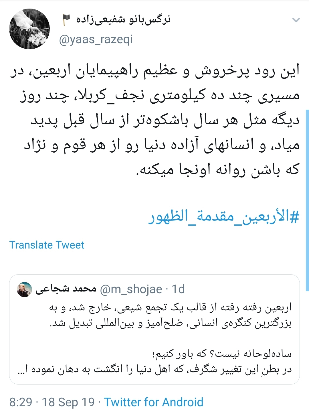 #الأربعين_مقدمة_الظهور/