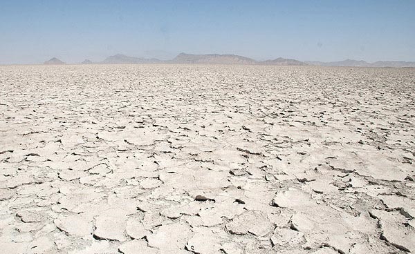 مرگ بختگان جهاد کشاورزی را سر غیرت آورد/ از احیای دریاچه حمایت می شود