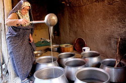برگزاری دهمین جشنواره شیره&zwnj;پزی در مانیزان