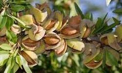 برگزاری چهارمین دوره مسابقات کشوری بازی‌های الکترونیکی و ورزشی در اصفهان + فیلم