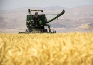 روز// سیاست &laquo;قیمت تضمینی&raquo; دوای درد دولت و گندمکاران