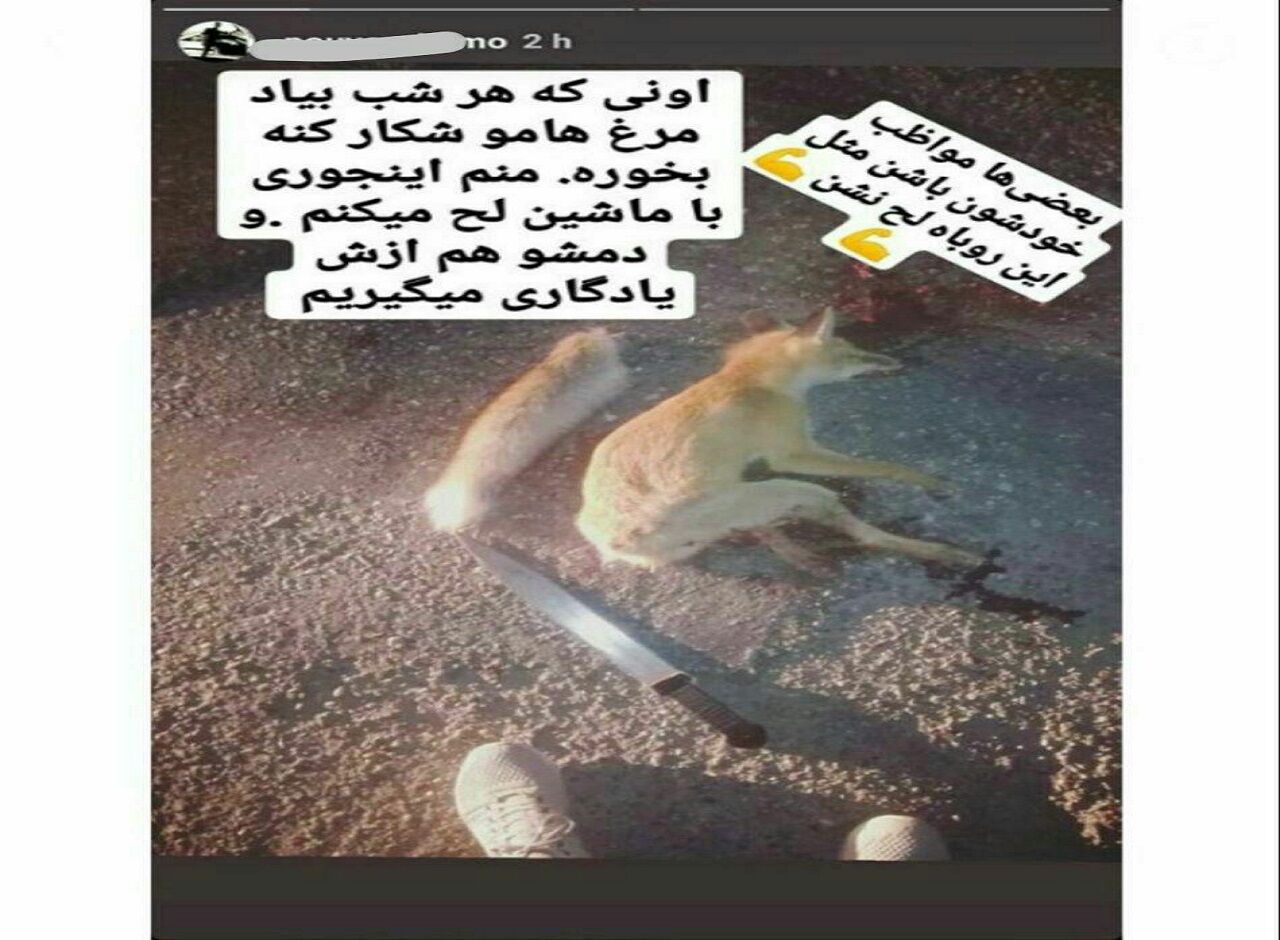 ااااااا