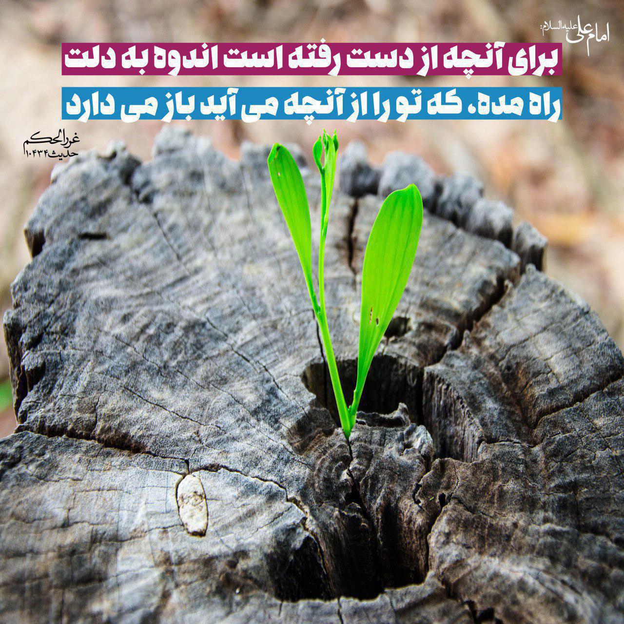 حدیثی از امام علی(ع) درباره اثرات پردازش به اتفاقات گذشته + تصویرنوشته