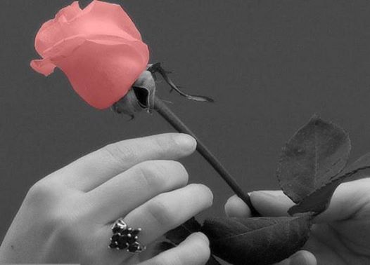 چگونه همسرمان را دوست داشته باشیم؟