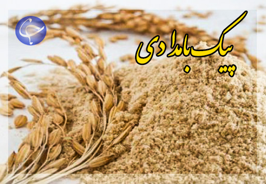 تغییر رژیم غذایی دام&zwnj;ها به نان + صوت