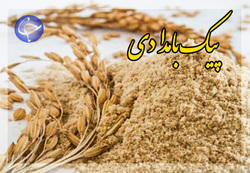 ذوب شدن فرصت‌های شغلی با خام فروشی فولاد + صوت