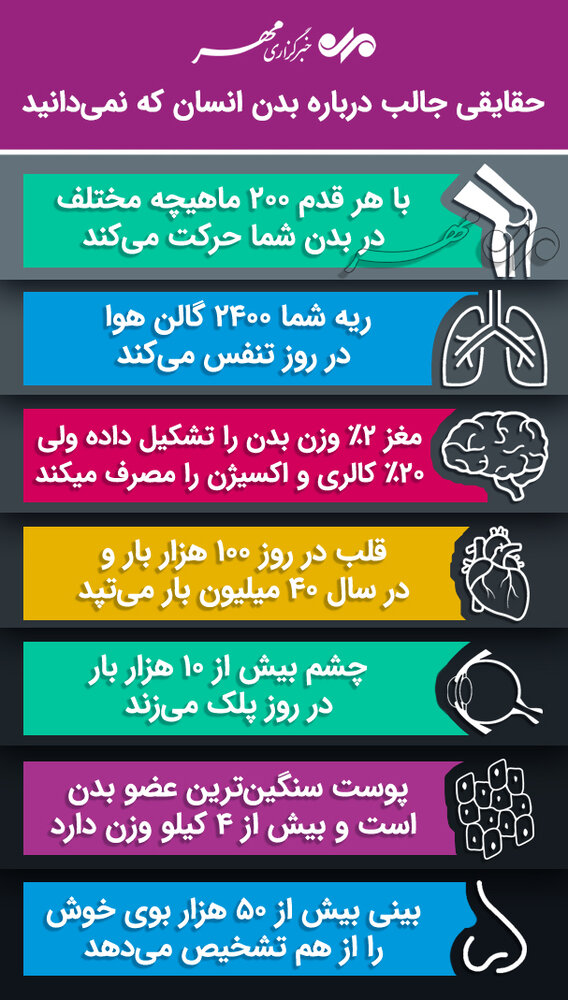 حقایقی باورنکردنی از بدنتان که از آن بی اطلاعید! + اینفوگرافی