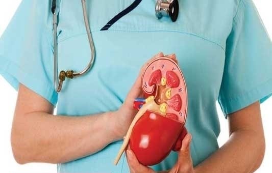 ترفند&zwnj;هایی ساده برای سم زدایی کلیه&zwnj;ها