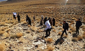 کپه کاری در ۱۴۲ هکتار از مراتع نهاوند