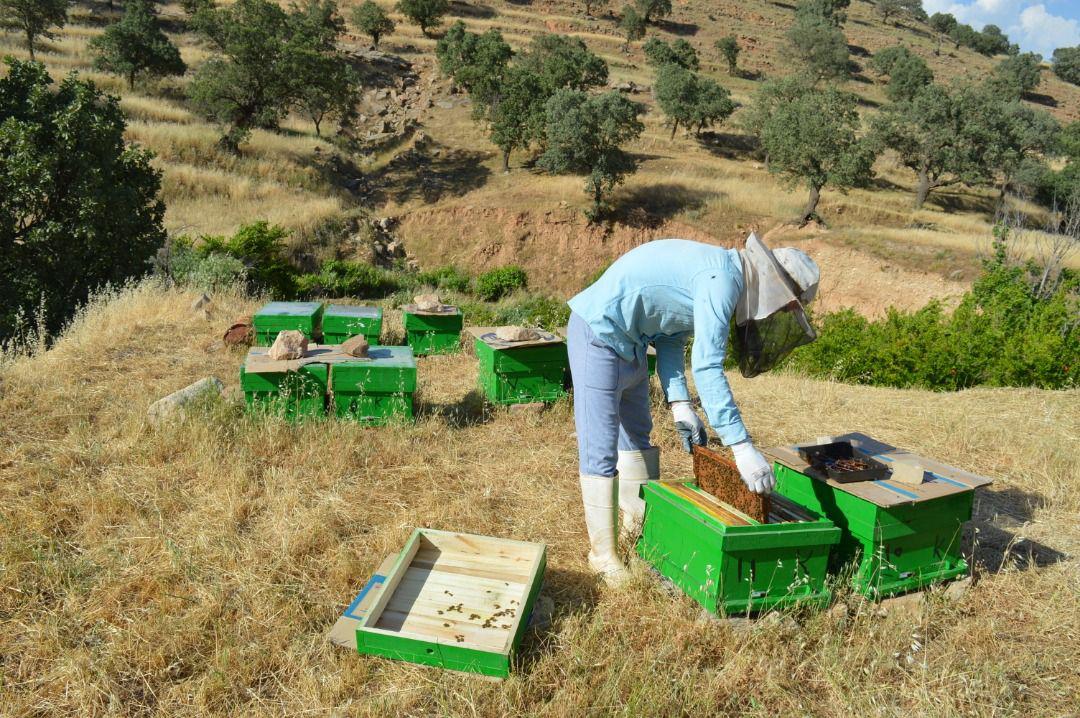 آغاز فرآیند ایجاد ۱۲۰۰ طرح اشتغال‌زایی بنیاد برکت در آذربایجان غربی