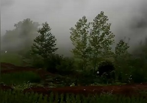 طبیعت سرسبز و مه‌آلود لنگرود در قاب دوربین + فیلم