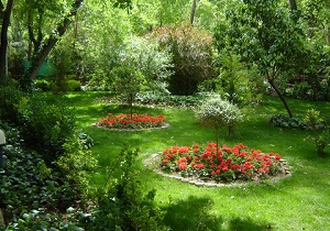 باید در شهر اصفهان حداقل سرانه فضای سبز را حفظ کنیم