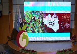 برگزاری همایش عناب در بیرجند