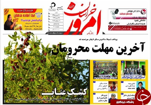 تیتر