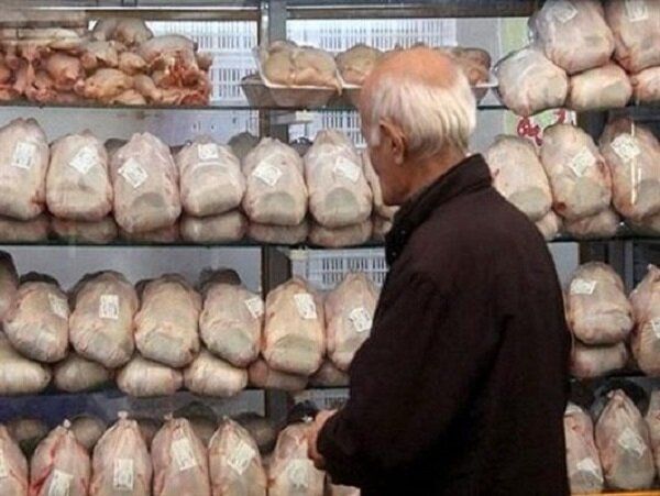 نظارت بر بازار مرغ  در ایلام