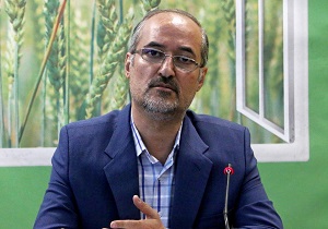 احداث ۱۲۰ هکتار گلخانه در قم /از مهم‌ترین دلایل توجه به گلخانه حفظ بازار‌های جهانی است