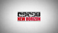 تیراندازی پلیس آمریکا به سمت مرد چاقوکش + فیلم