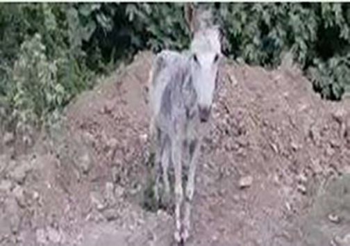 نگاهی گذرا به مهمترین رویداد&zwnj;های یکشنبه ۳۱ شهریورماه در مازندران