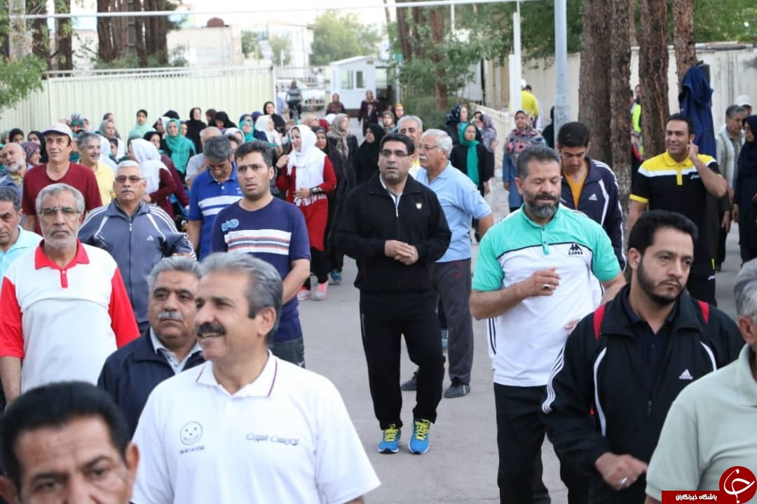تنها ۲۰ درصد عامل سرطان ژنتیک است