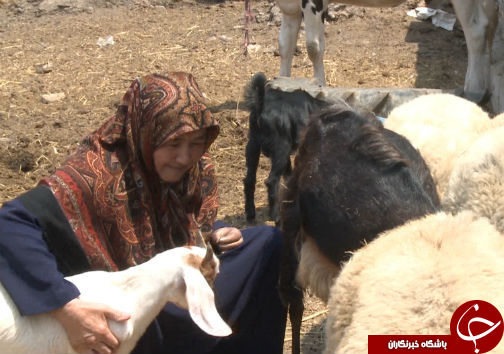 وقتی که یک دست صدا دارد